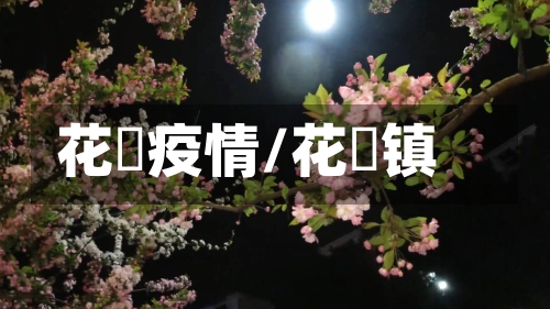 花荄疫情/花篢镇-第3张图片
