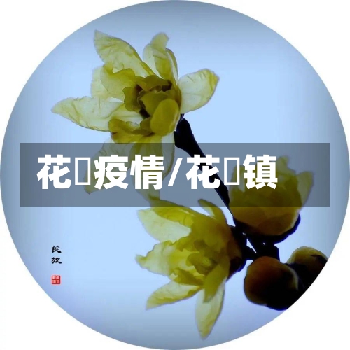 花荄疫情/花篢镇