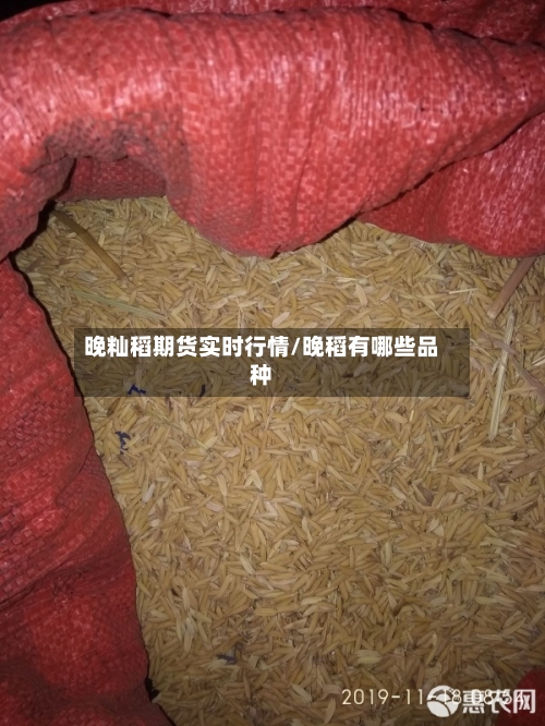 晚籼稻期货实时行情/晚稻有哪些品种-第2张图片