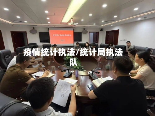 疫情统计执法/统计局执法队-第2张图片