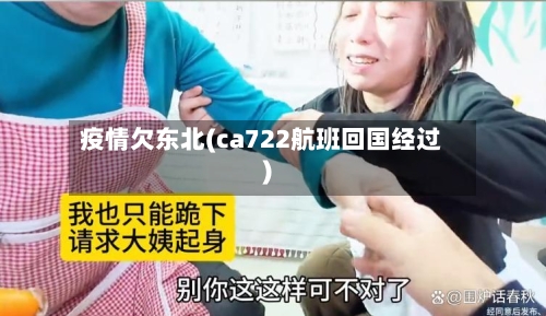 疫情欠东北(ca722航班回国经过)-第2张图片