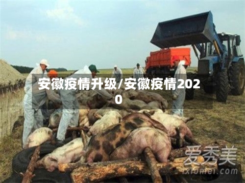 安徽疫情升级/安徽疫情2020-第3张图片