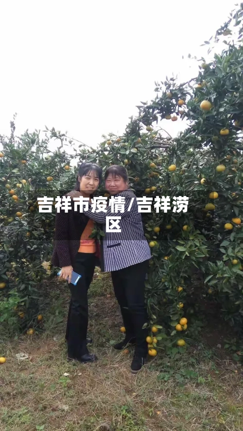 吉祥市疫情/吉祥涝区-第2张图片