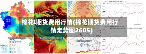 棉花l期货费用行情(棉花期货费用行情走势图2605)-第2张图片