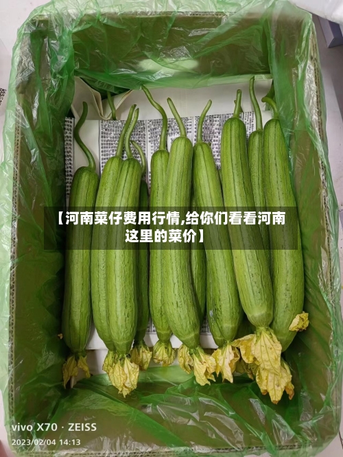 【河南菜仔费用行情,给你们看看河南这里的菜价】