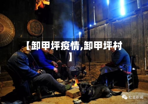 【卸甲坪疫情,卸甲坪村】