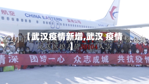 【武汉疫情新增,武汉 疫情】