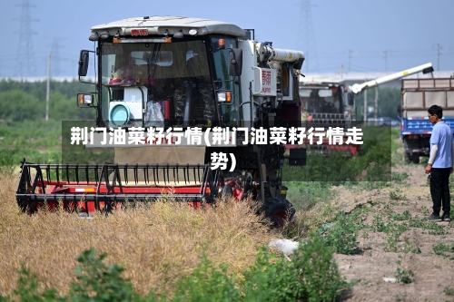 荆门油菜籽行情(荆门油菜籽行情走势)-第2张图片