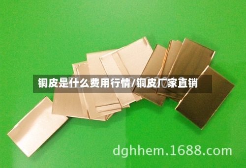 铜皮是什么费用行情/铜皮厂家直销-第2张图片