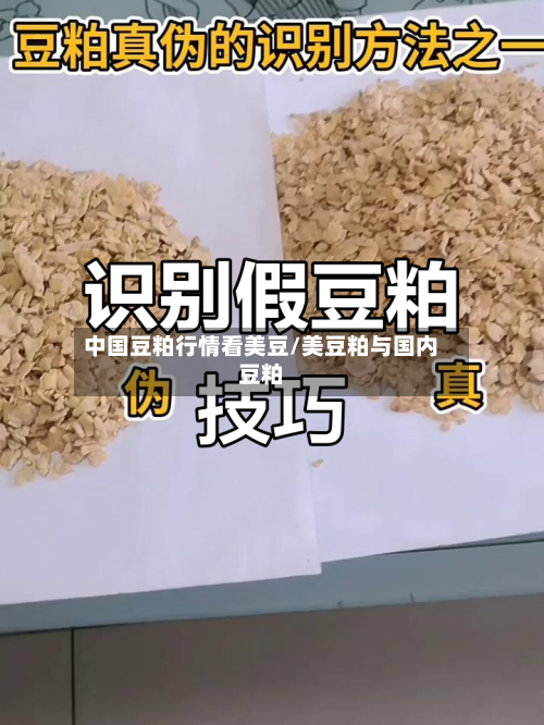 中国豆粕行情看美豆/美豆粕与国内豆粕