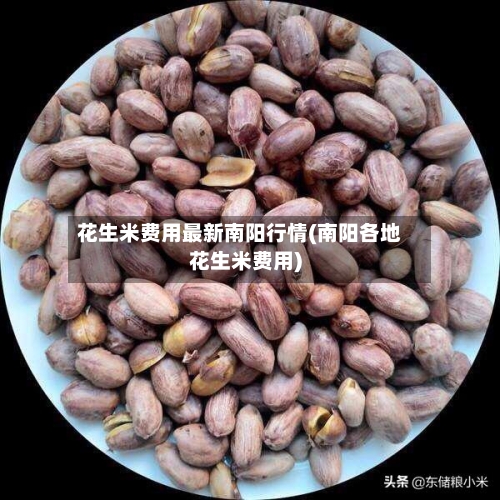 花生米费用最新南阳行情(南阳各地花生米费用)