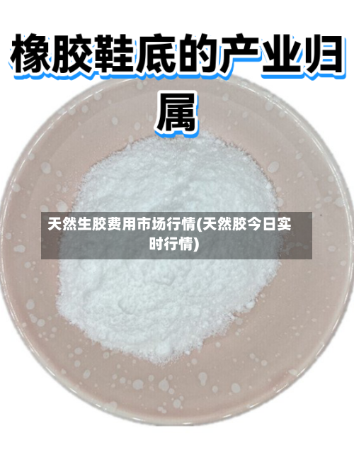天然生胶费用市场行情(天然胶今日实时行情)-第2张图片