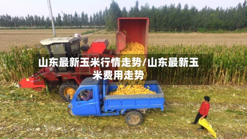 山东最新玉米行情走势/山东最新玉米费用走势-第2张图片