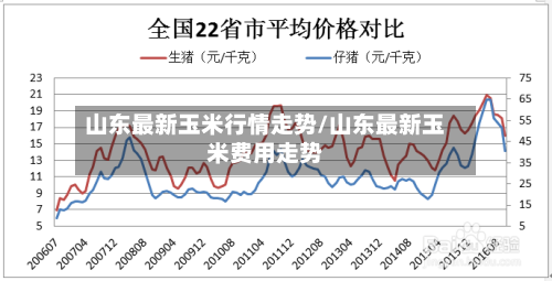 山东最新玉米行情走势/山东最新玉米费用走势