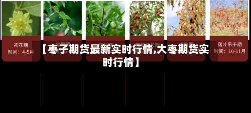【枣子期货最新实时行情,大枣期货实时行情】-第2张图片