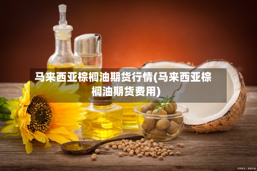 马来西亚棕榈油期货行情(马来西亚棕榈油期货费用)