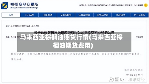 马来西亚棕榈油期货行情(马来西亚棕榈油期货费用)-第3张图片