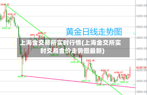 上海金交易所实时行情(上海金交所实时交易金价走势图最新)
