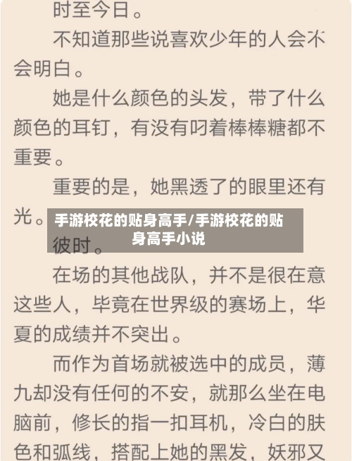 手游校花的贴身高手/手游校花的贴身高手小说