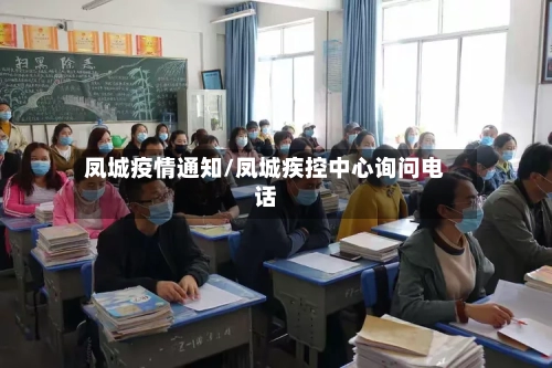 凤城疫情通知/凤城疾控中心询问电话