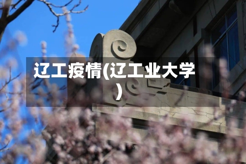 辽工疫情(辽工业大学)