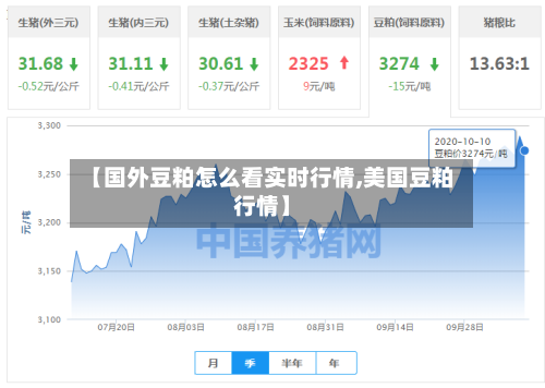 【国外豆粕怎么看实时行情,美国豆粕行情】