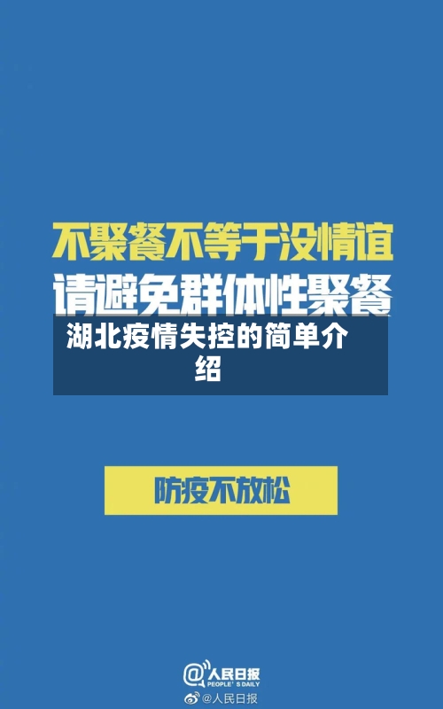 湖北疫情失控的简单介绍