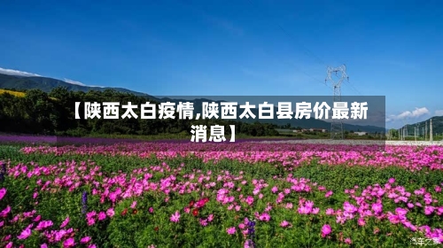 【陕西太白疫情,陕西太白县房价最新消息】