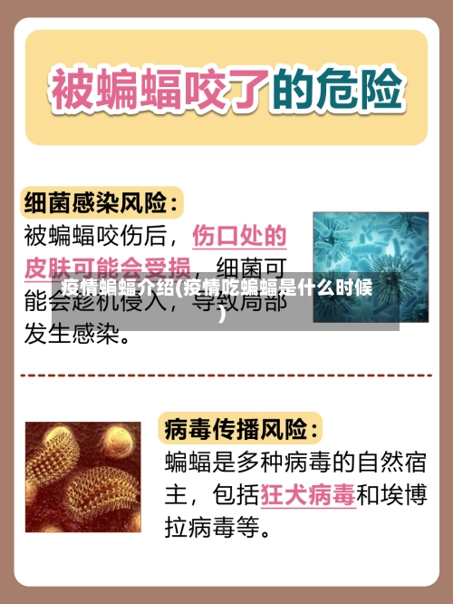 疫情蝙蝠介绍(疫情吃蝙蝠是什么时候)-第2张图片