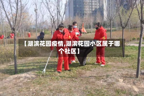 【湖滨花园疫情,湖滨花园小区属于哪个社区】-第2张图片