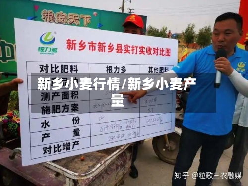 新乡小麦行情/新乡小麦产量