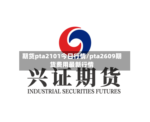 期货pta2101今日行情/pta2609期货费用最新行情