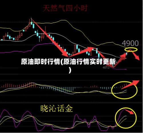 原油即时行情(原油行情实时更新)