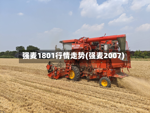 强麦1801行情走势(强麦2007)