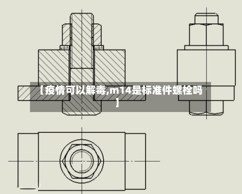 【疫情可以解毒,m14是标准件螺栓吗】-第2张图片