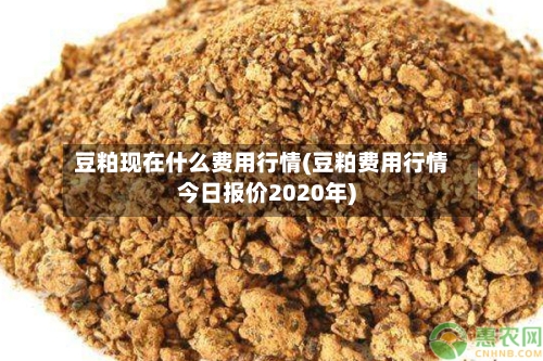 豆粕现在什么费用行情(豆粕费用行情今日报价2020年)