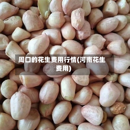 周口的花生费用行情(河南花生费用)