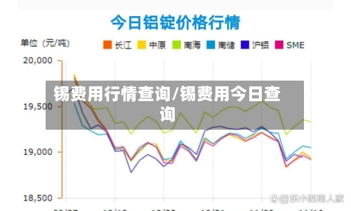 锡费用行情查询/锡费用今日查询