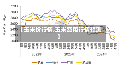 【玉米价行情,玉米费用行情预测】