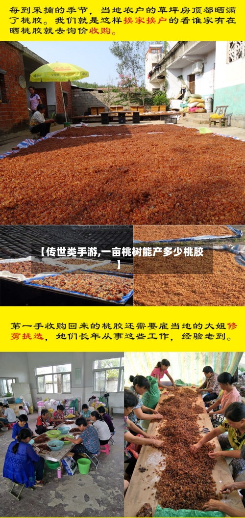 【传世类手游,一亩桃树能产多少桃胶】