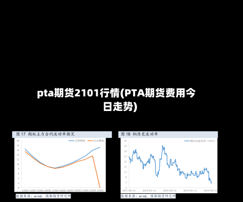 pta期货2101行情(PTA期货费用今日走势)
