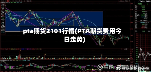 pta期货2101行情(PTA期货费用今日走势)-第2张图片