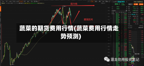 蔬菜的期货费用行情(蔬菜费用行情走势预测)-第2张图片