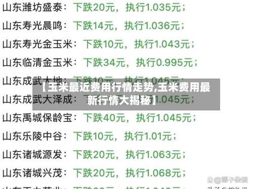 【玉米最近费用行情走势,玉米费用最新行情大揭秘】
