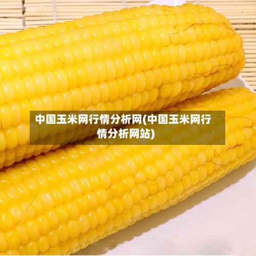中国玉米网行情分析网(中国玉米网行情分析网站)-第3张图片