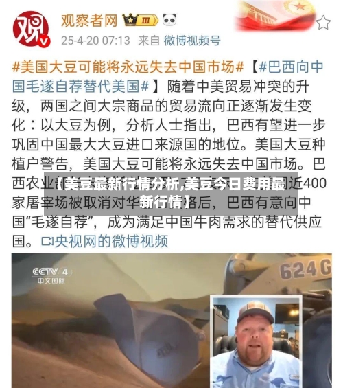 【美豆最新行情分析,美豆今日费用最新行情】