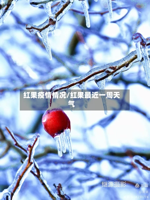 红果疫情情况/红果最近一周天气-第2张图片