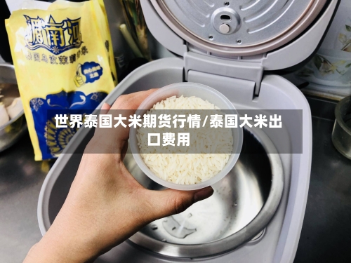世界泰国大米期货行情/泰国大米出口费用-第3张图片
