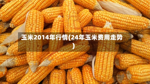玉米2014年行情(24年玉米费用走势)