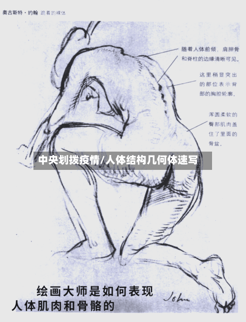 中央划拨疫情/人体结构几何体速写-第3张图片